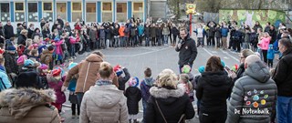 IMG_0041