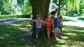 WP_20170601_010
